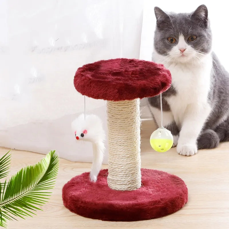 Cat Climbing Scratching Post