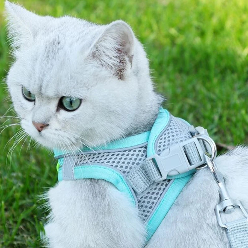 Breathable Harness - Pink