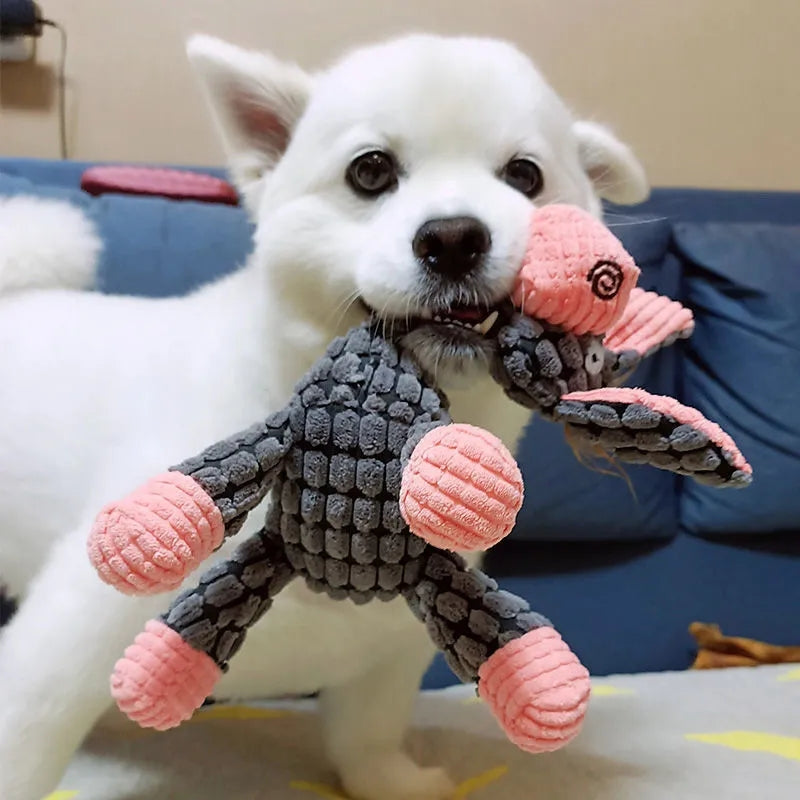 Fun Pet Toy