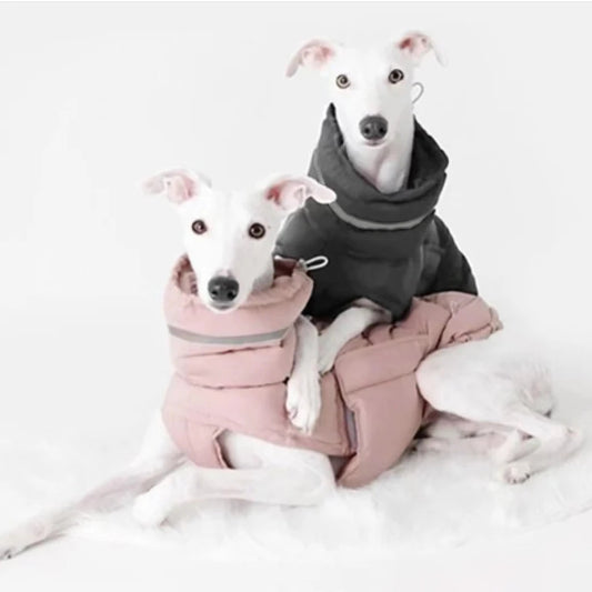 Winter Ward Dog Jacket