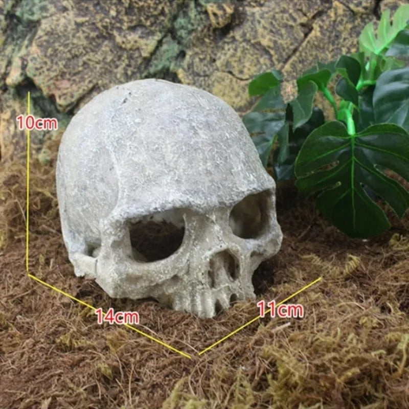 Skull Decoration - Fish Tank