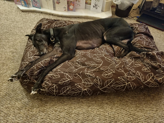 Snoozzzeee Autumn Fall Bean Bag