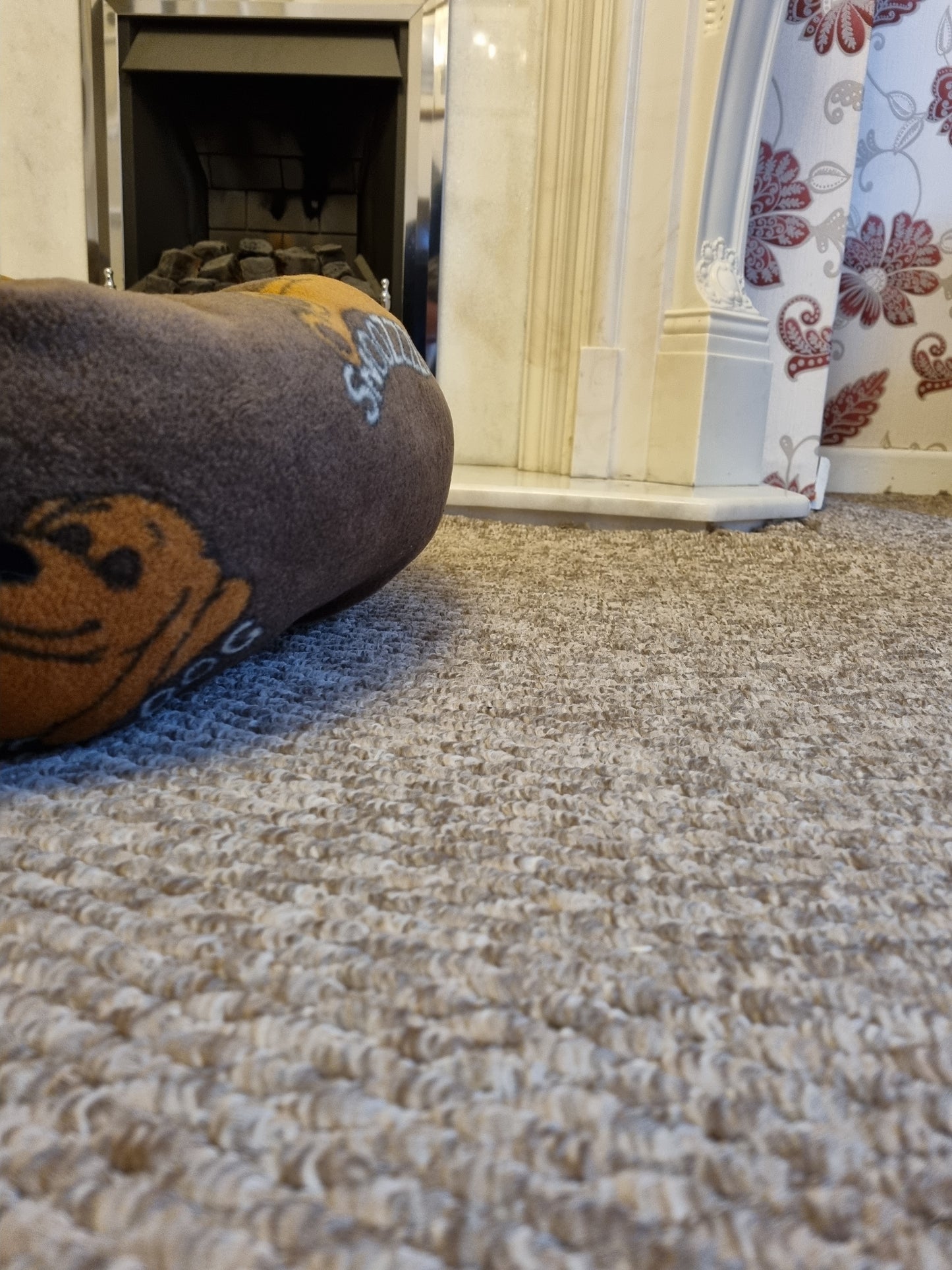Snoozzzeee Dog fleece Donut Pet Bed