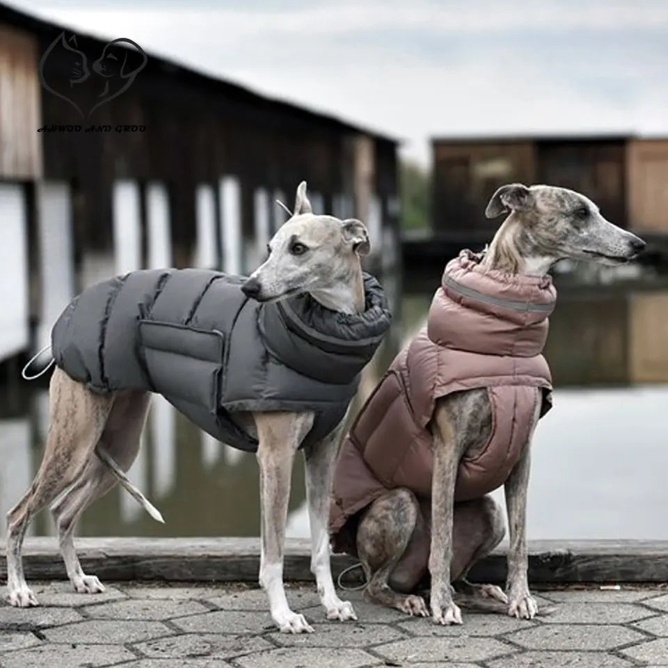 Winter Ward Dog Jacket
