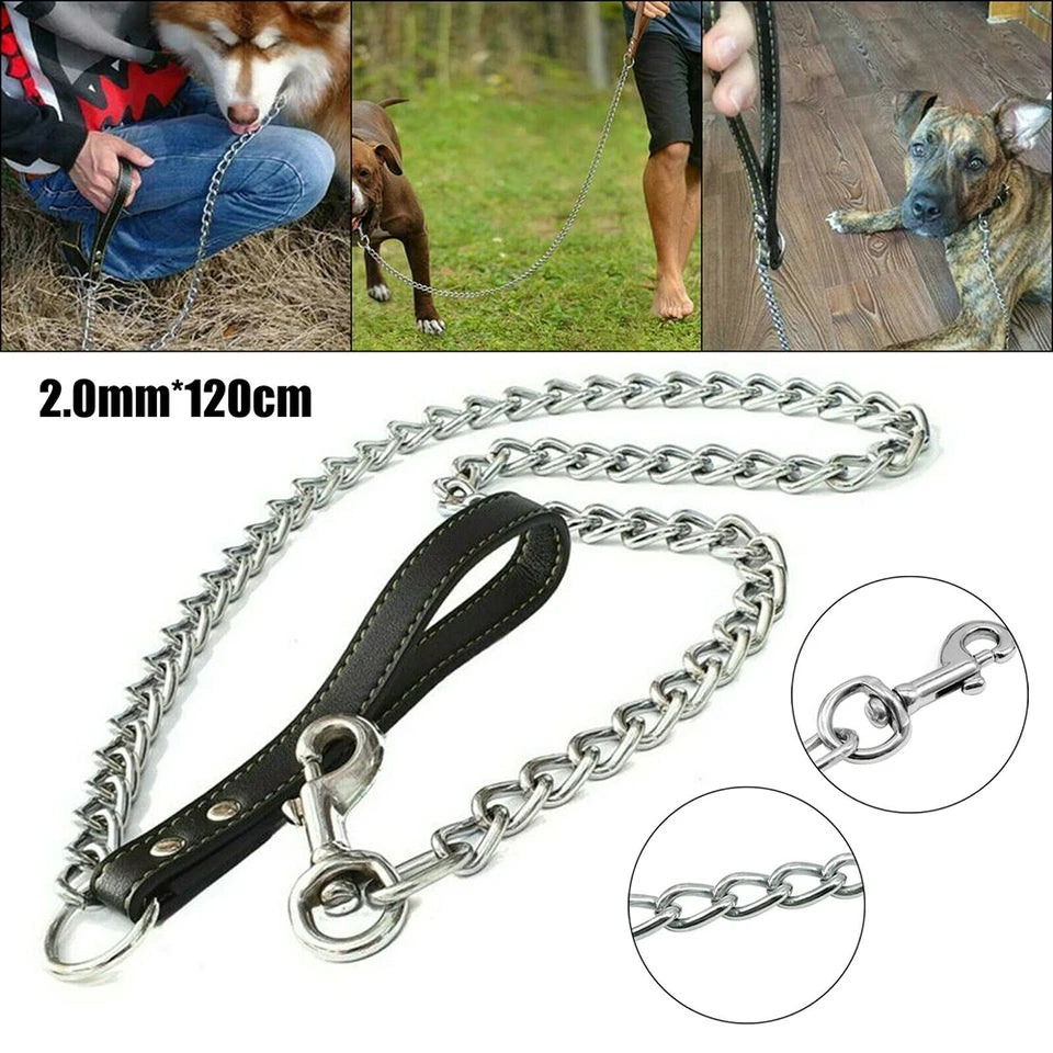 Long chain outlet dog lead