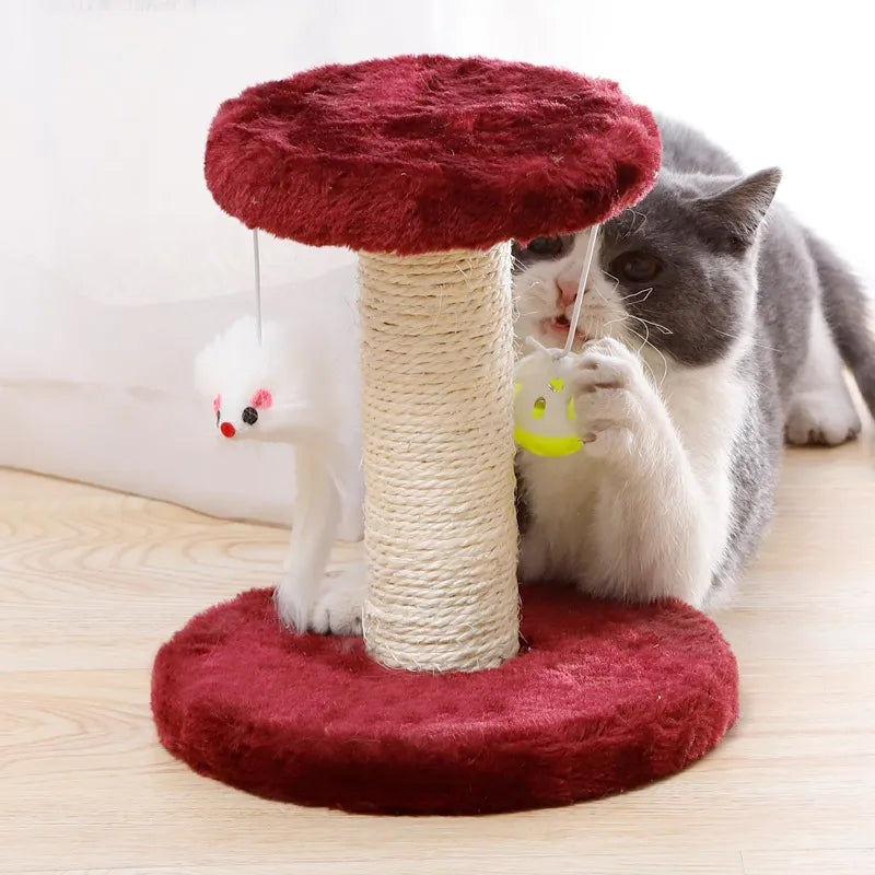 Cat Climbing Scratching Post