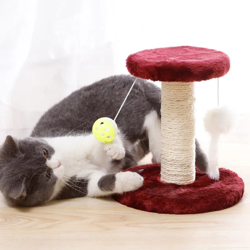 Cat Climbing Scratching Post