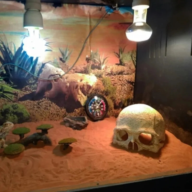 Skull Decoration - Fish Tank