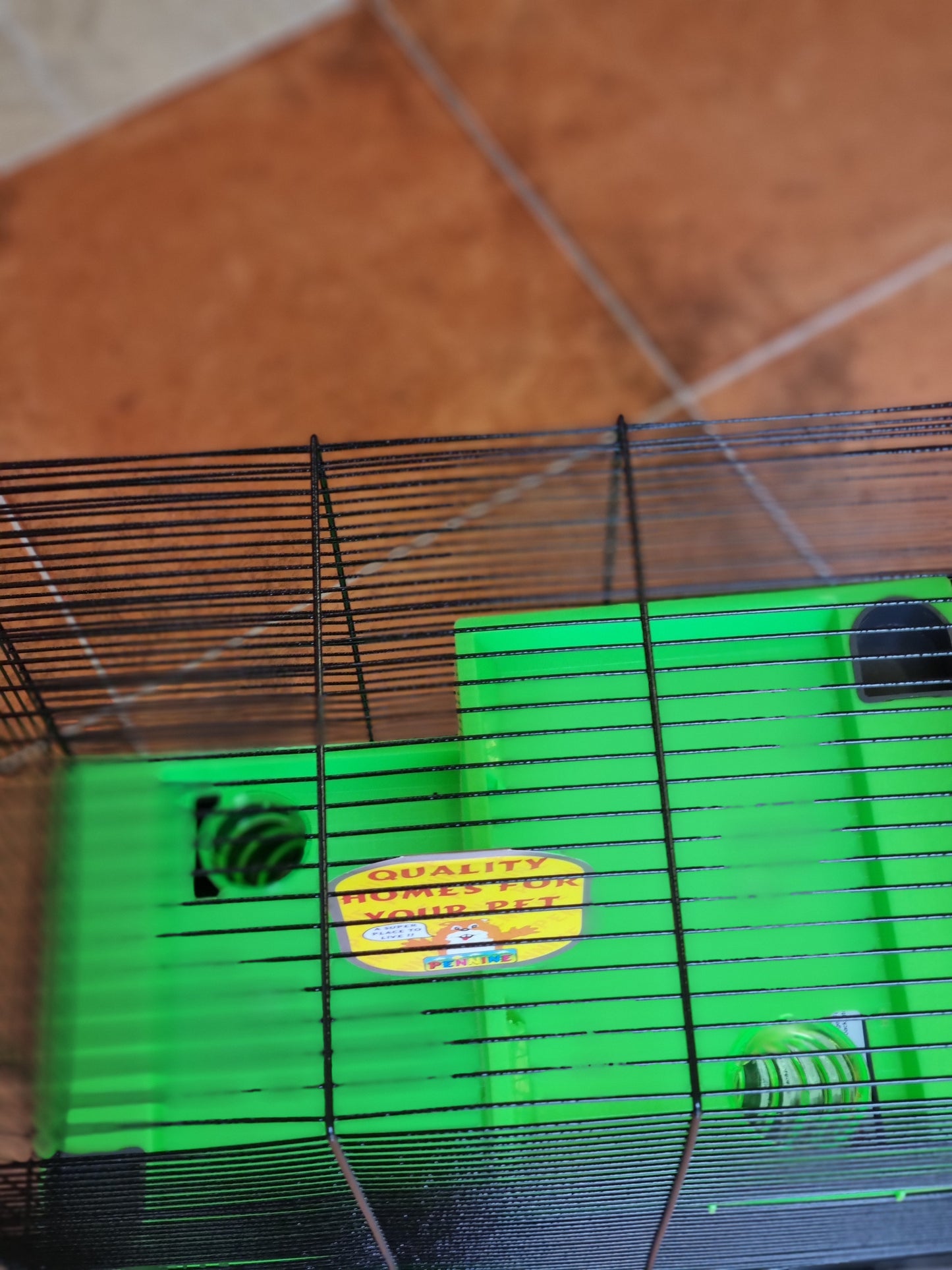 Hamster Cage