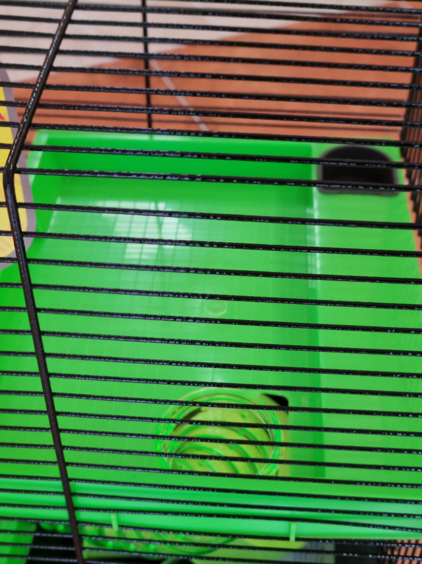 Hamster Cage