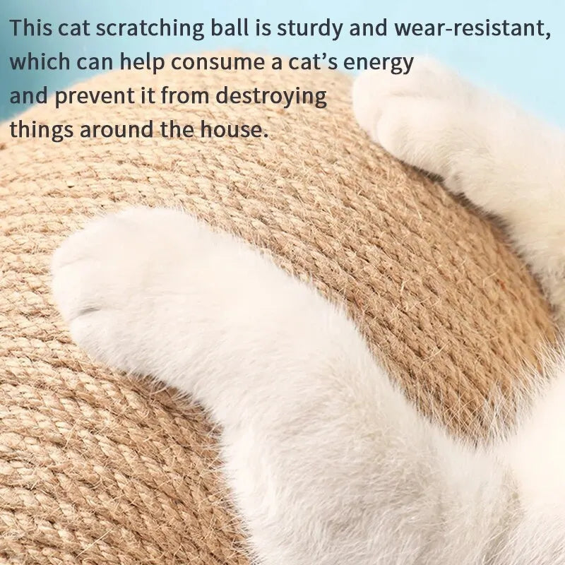 Cat Scratchers Ball