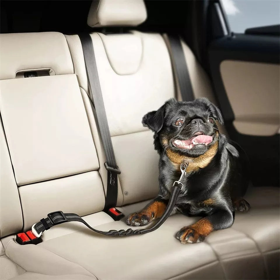 Dog Seat Belt - Car seat belt harness